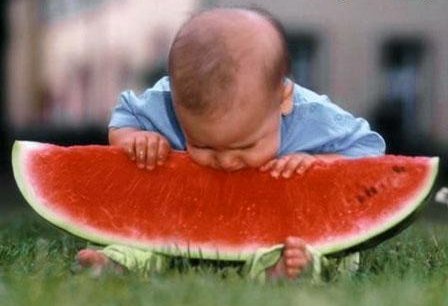 VÌ SAO NHO ? ......HÁT  - Page 4 Baby-watermelon