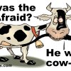 Funny Jokes